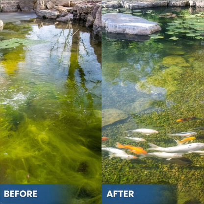 100g Aquarium Water Clarifier Powder – Crystal Clear Water Treatment for Fish Tanks & Ponds